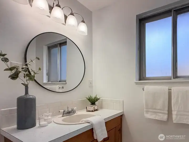 Lower level bathroom