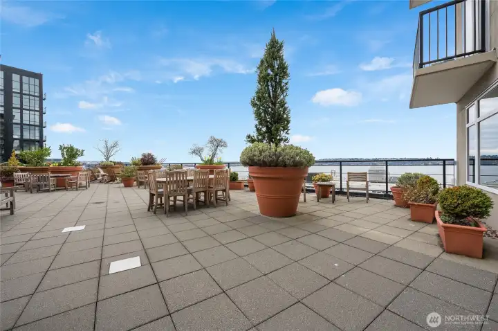 Another look at the rooftop deck which is the crown jewel of the building. Another look at the rooftop deck which is the crown jewel of the building.