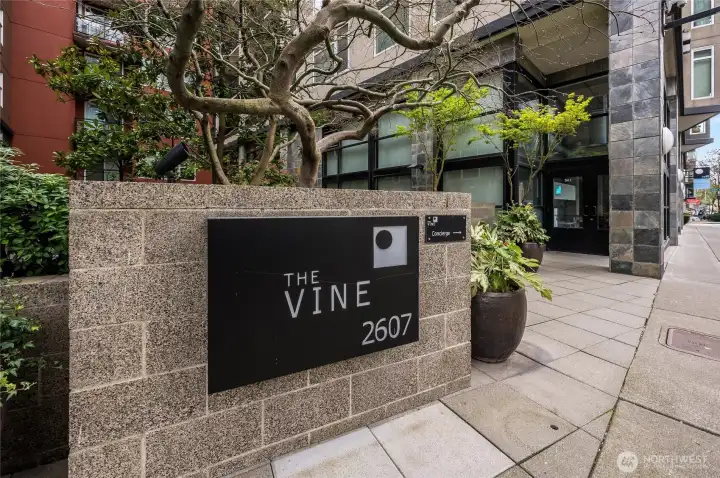 The Vine Condominium, a 12-story & 6 story towers located in the heart of Belltown close to waterfront, Sculpture Park, Pike Place Market, restaurants, coffee shops, Seattle Center, shopping, public transit & more. The Vine Condominium, a 12-story & 6 story towers located in the heart of Belltown close to waterfront, Sculpture Park, Pike Place Market, restaurants, coffee shops, Seattle Center, shopping, public transit & more.