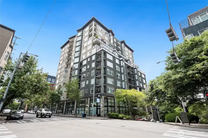 The Vine Condominium, extraordinary! The Vine Condominium, extraordinary!