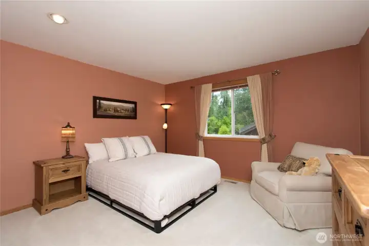 Downstairs bedroom