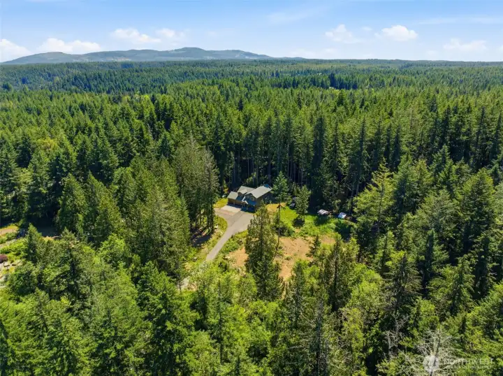So much privacy on this 2.5 acres