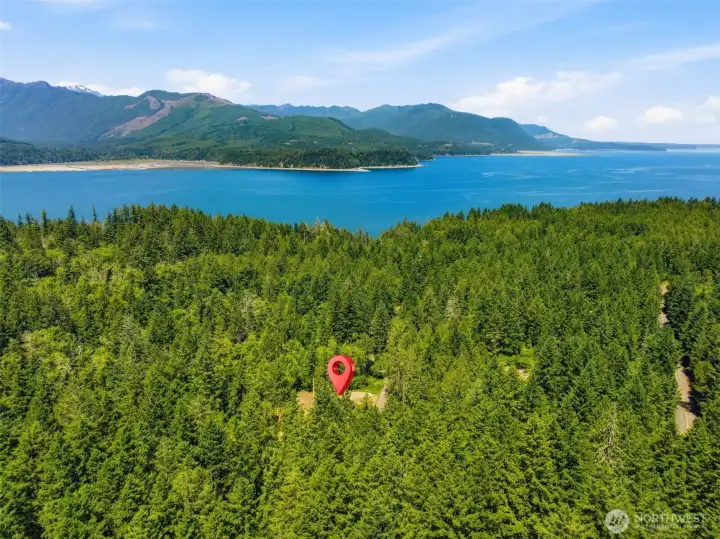 Home is about 1 mile away from your own PRIVATE BEACH ACCESS to the hood canal