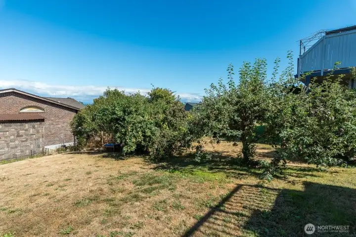 Fruit trees