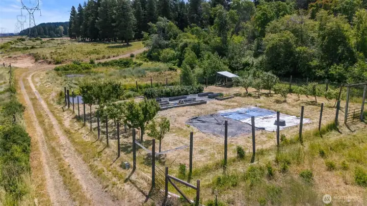 Mature fruit orchard