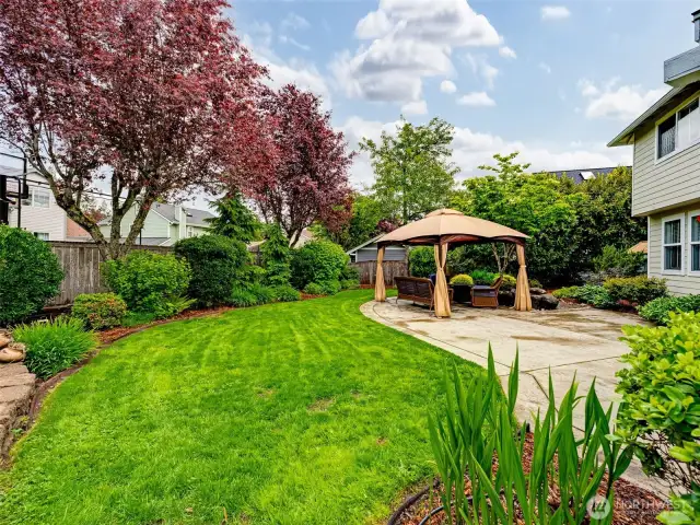 Spectacular private backyard.  Your dream space!