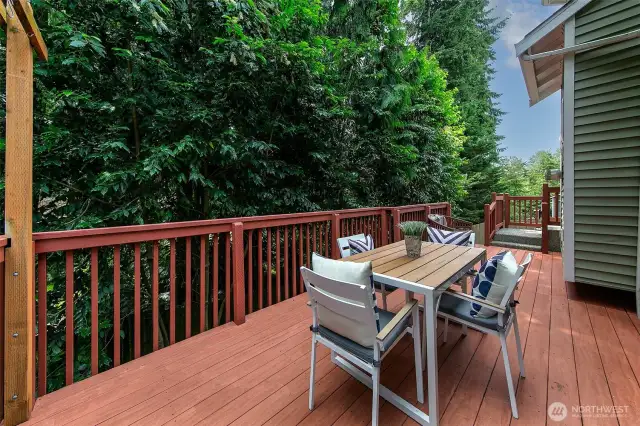 Plenty of space to grill and entertain.