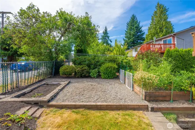 Garden beds and blue berry bushes and more.  The gravel area was a former dog run.