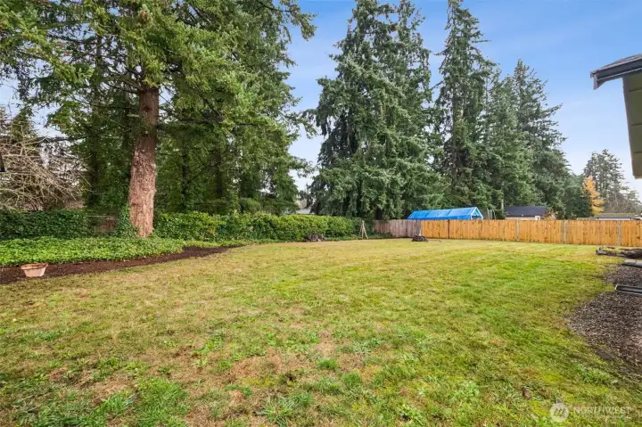 The level, fully fenced back yard is thoughtfully landscaped for maximum privacy.