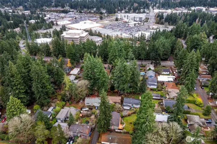 Near shopping, Shoreline College, Transportation