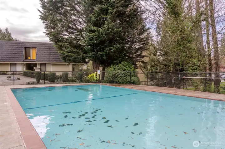 Community pool