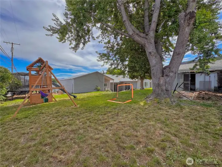 Fenced backyard with mature shade trees