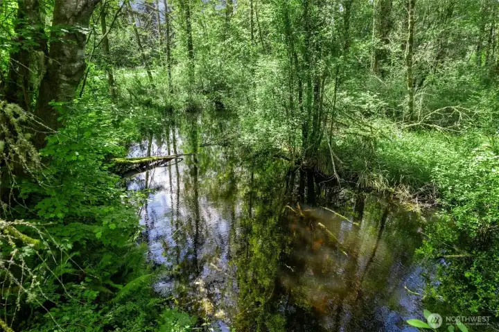Seasonal Ponds add to the parklike setting