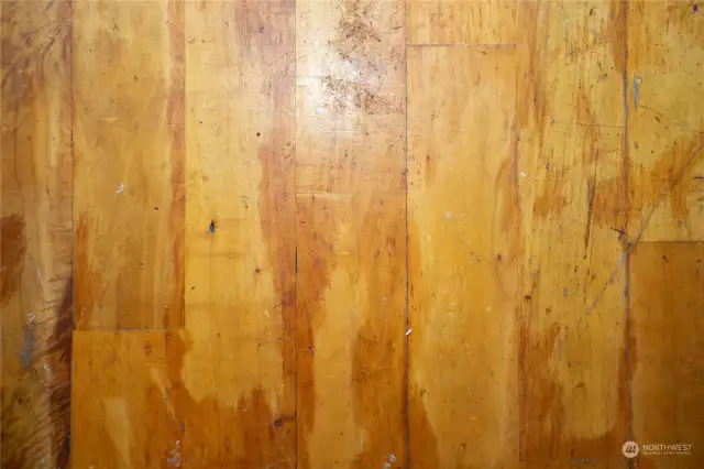 floor closeup