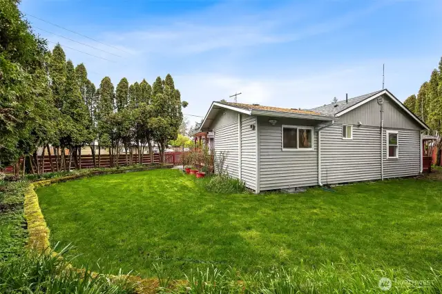 Yard & Raised Gardens