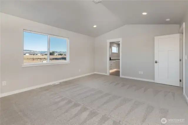 Large primary bedroom with vaulted ceiling, like home