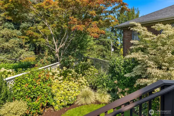 Sweet fully fenced garden.