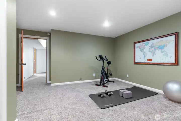 Lower Bedroom #4/ or Bonus Room