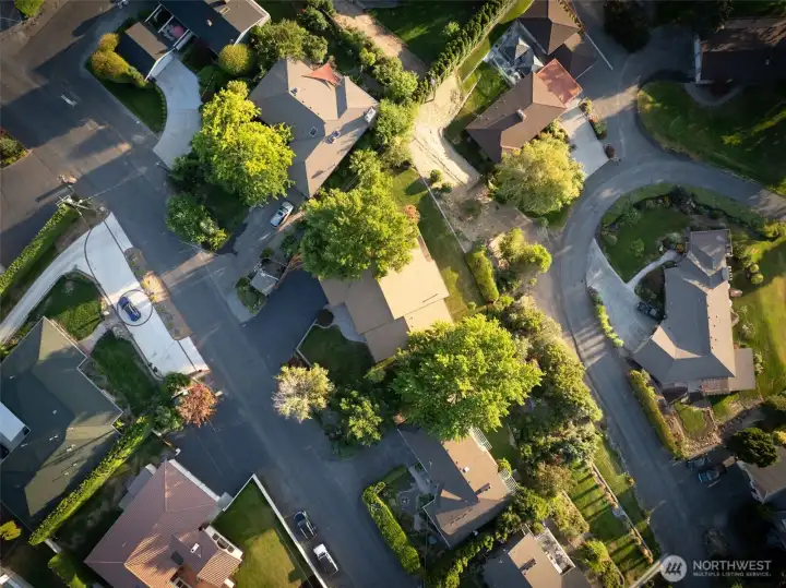 Aerial