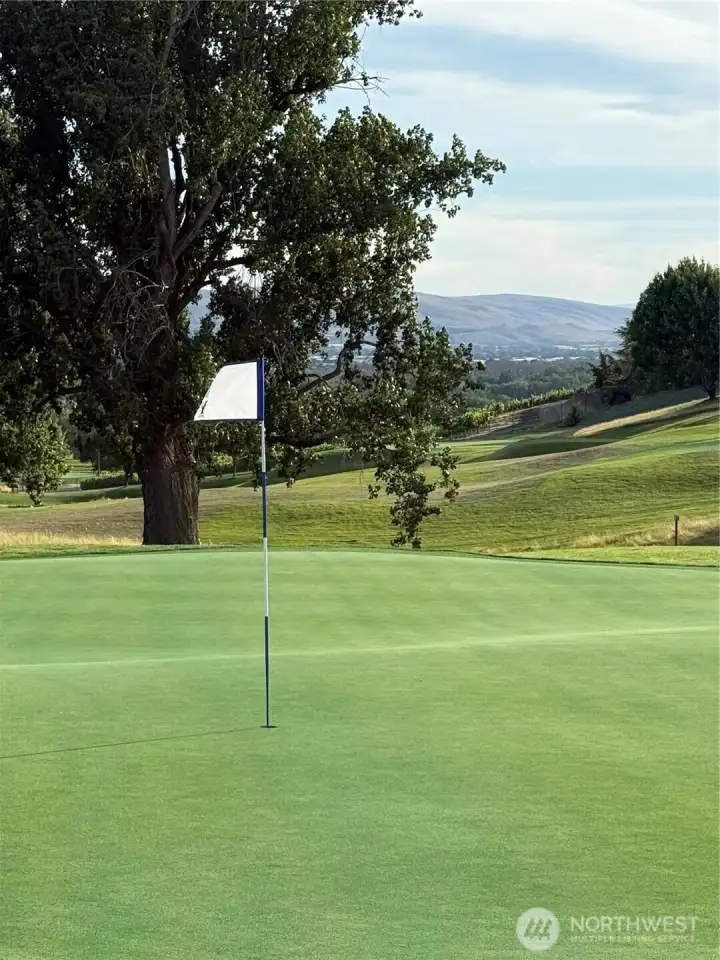 Hole # 11