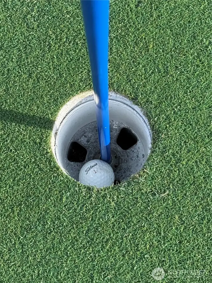 Hole in one