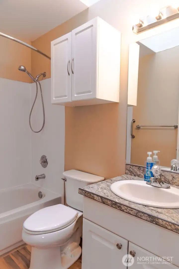 Full bath in the main hallway also has a skylight.
