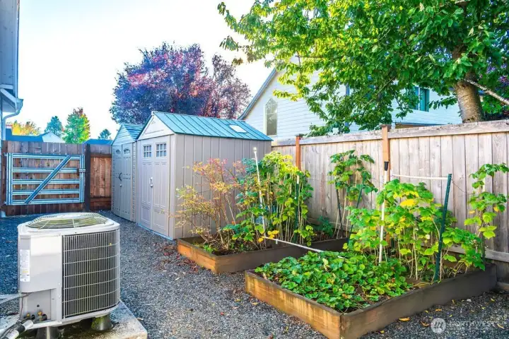 Planters with various berries, 2 additional storage sheds, and heat pump for A/C during the summer! Gardens features thornless blackberries, boysenberries, blueberries, raspberries, and strawberries. Everything is on a sprinkler system for your convenience!