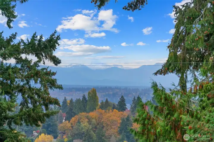 Welcome to Maple Leaf - 1255 NE 100th St. Oh the sunrises from the rooftop deck.  Really beautiful when the sky turns pink behind the Cascade Mountains.