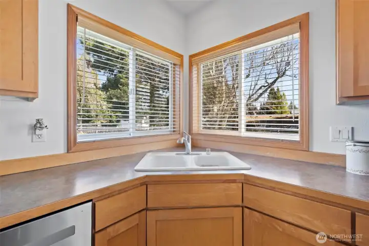 Enjoy bird watching from the kitchen sink.
