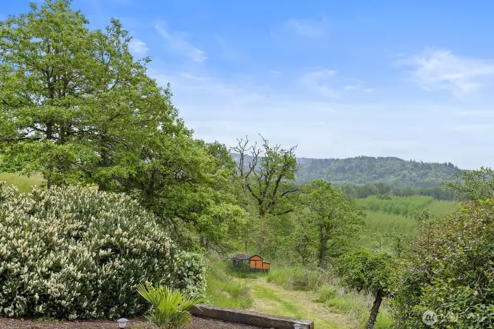 View Of Land