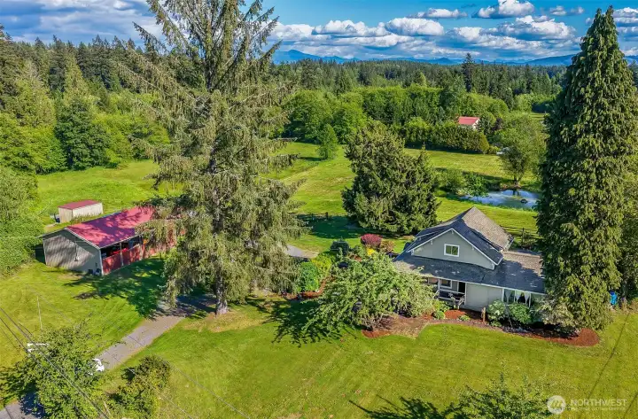 House, 30x40 shop, 2 stall run-in barn on the far left (moveable), pond in upper right corner, large yard.  Driveway makes a circle between the house and the shop, making it ideal for pulling in with trailers