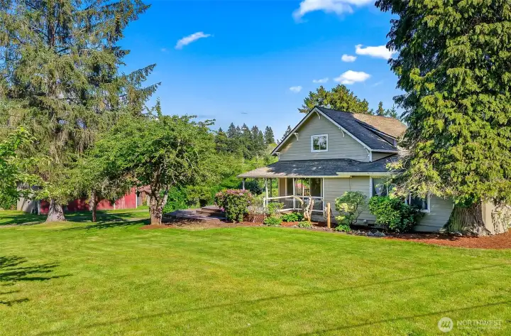 Large yard
