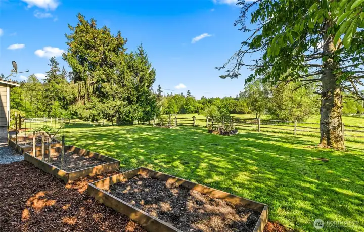 Garden beds/boxes overlooking the upper pasture