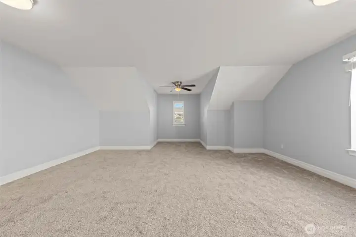 Massive bonus room/movie room/flex space