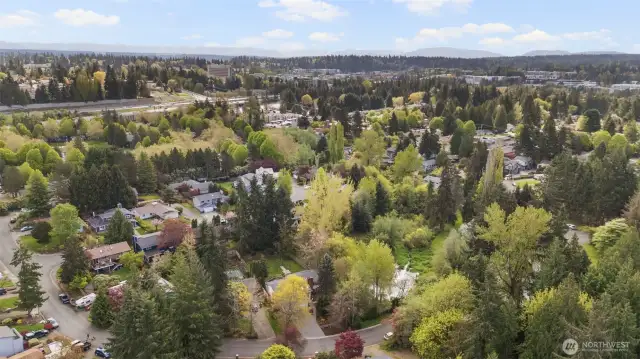 Close to The Village at Totem Lake Shopping!