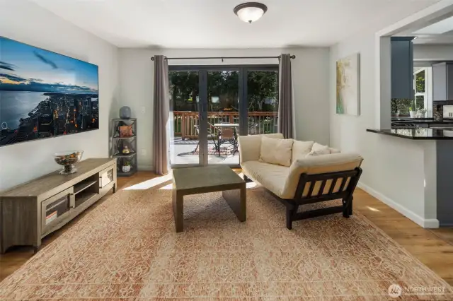 Arcadian door completely blends indoor and outdoor!