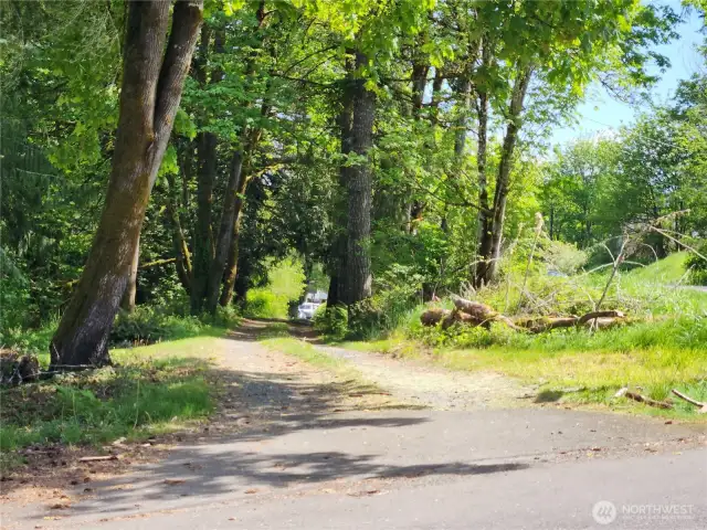 Driveway Entrance
