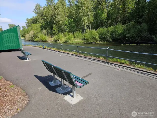 Watch the river wildlife from the little community park