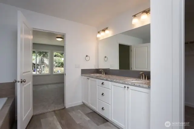 Previously built primary bathroom finish options