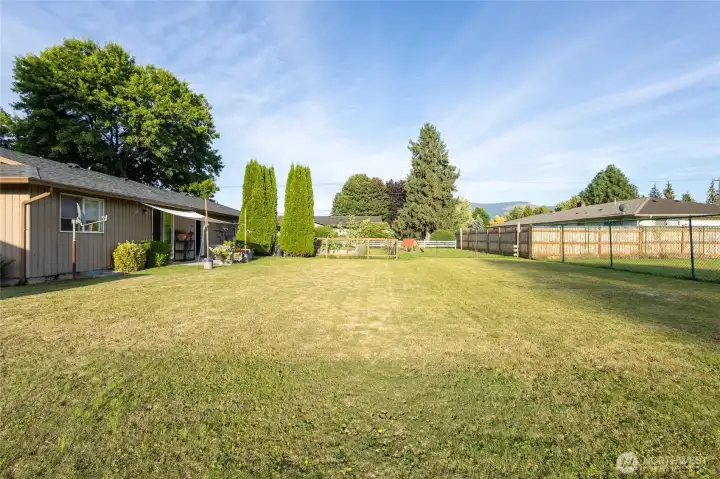 Huge back yard!