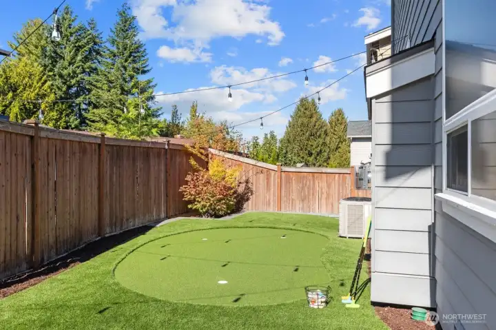 Putting green in turfed backyard.