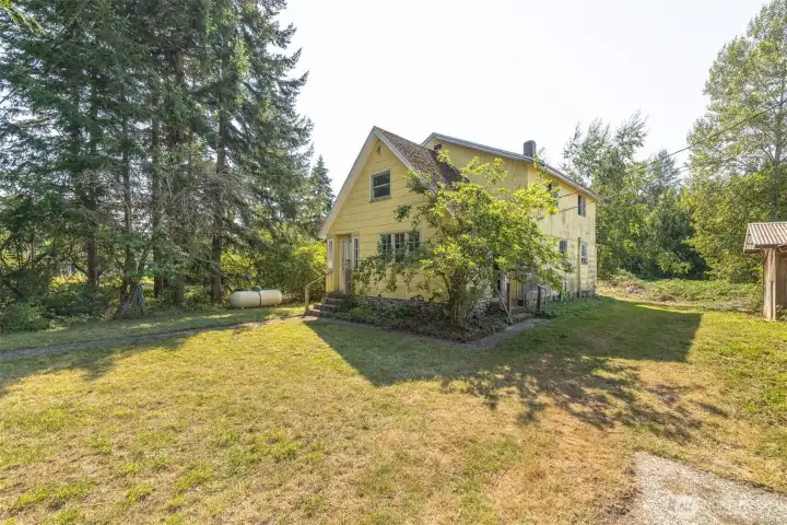 Front yard with a prolific plum tree.