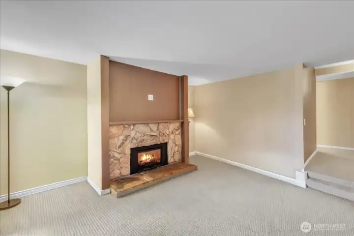 Gas Fireplace insert! Does a great job heating with remote you can adjust blower, etc. Also we added an electrical outlet for your TV.