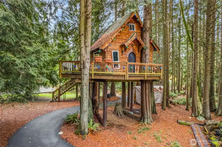 The "tree house" guest cottage