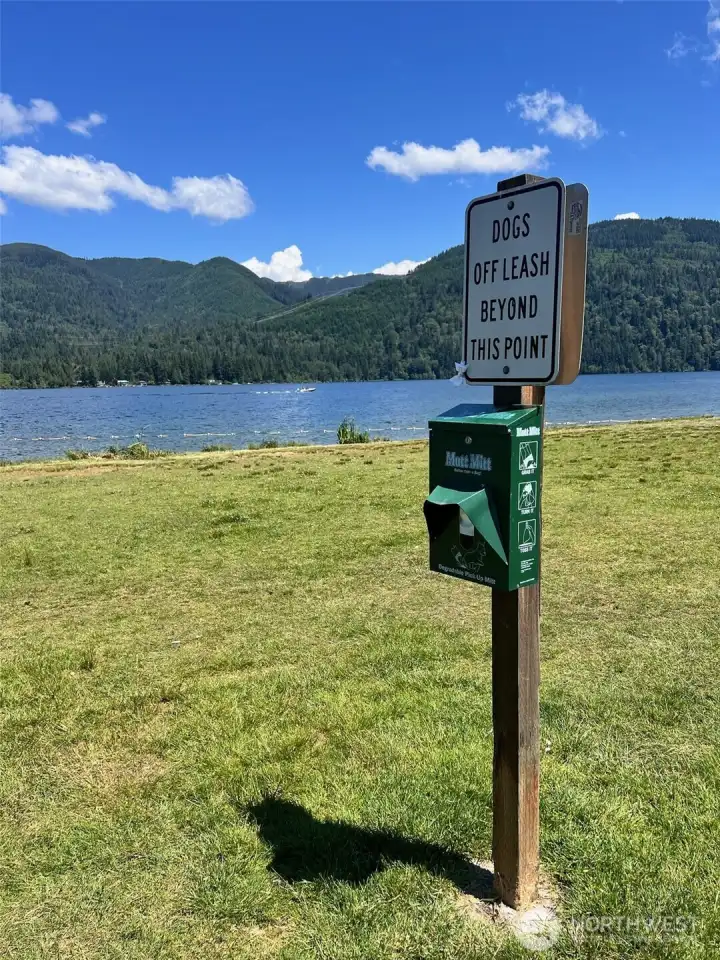Off-leash dog park near marina on Lake Whatcom
