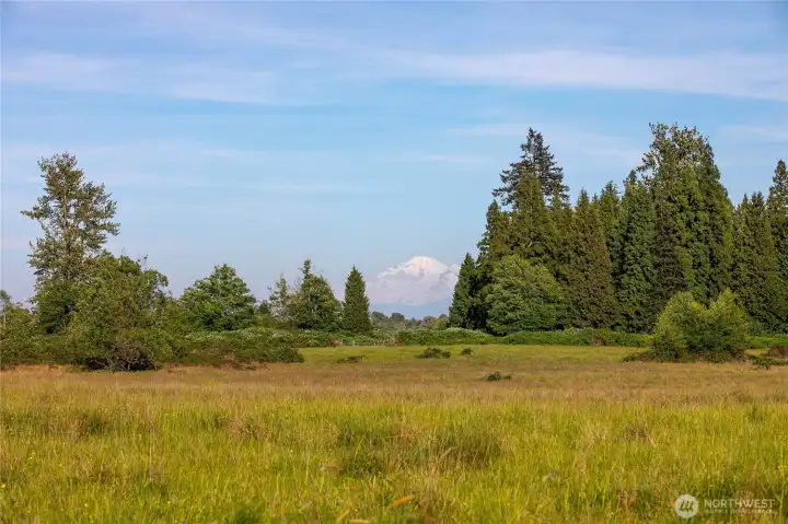 Stunning Mount Baker views from this shy 10 acre property.