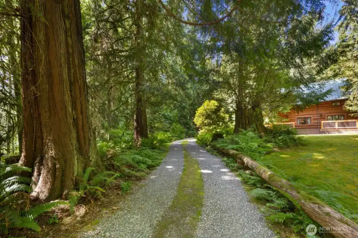 Enter the property via a winding drive through the woods Enter the property via a winding drive through the woods