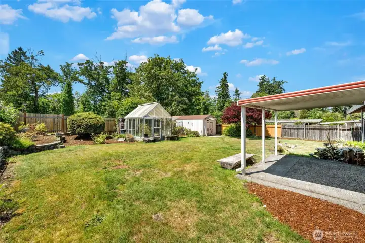 Another view of the back yard.