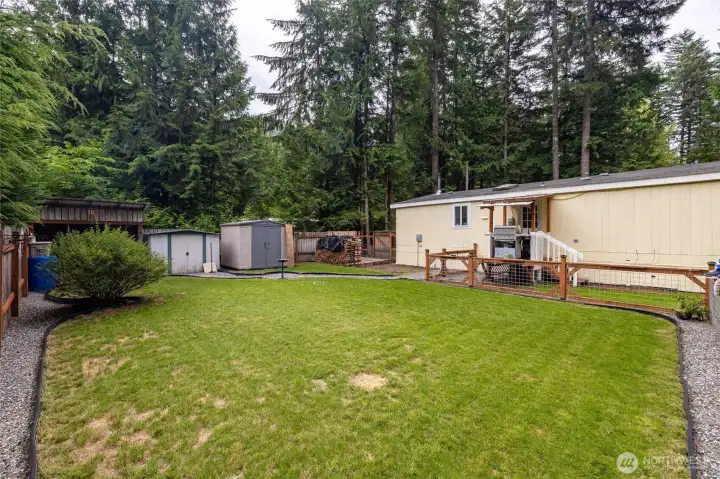 Back yard. Back yard.