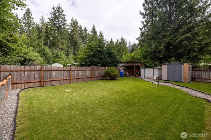 Fully fenced in back yard! Fully fenced in back yard!